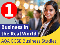 3.1 Business in the Real World